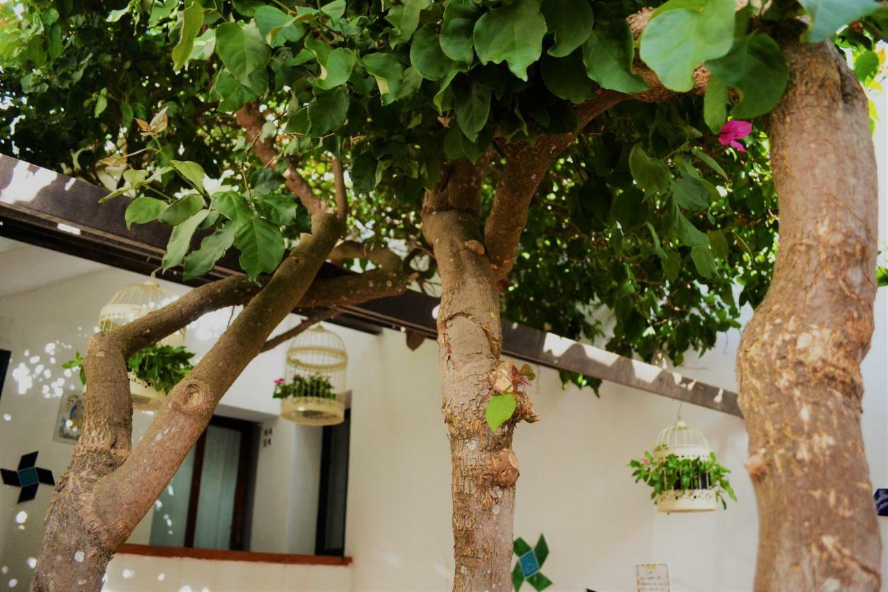 Casa Gandamar B&B 산타테레사의갈루라 외부 사진