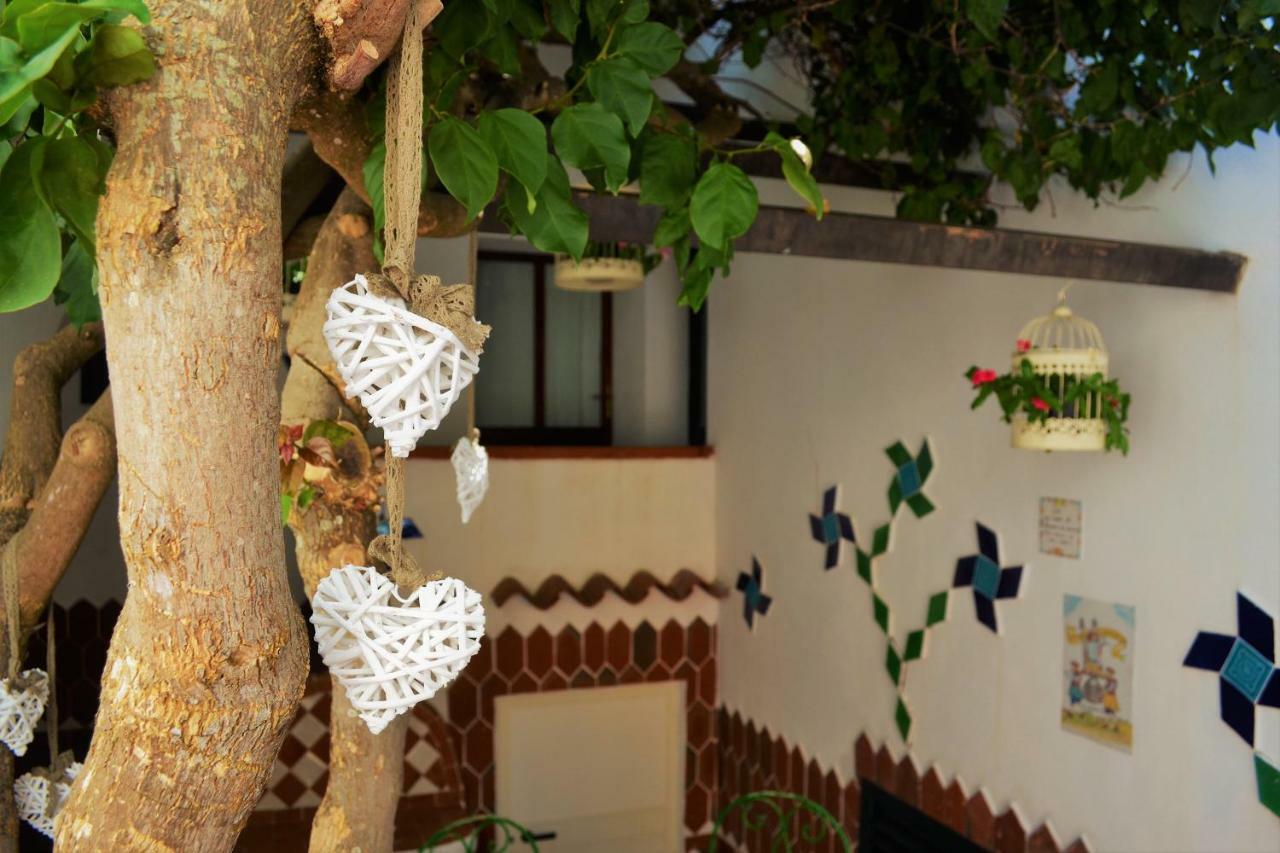 Casa Gandamar B&B 산타테레사의갈루라 외부 사진