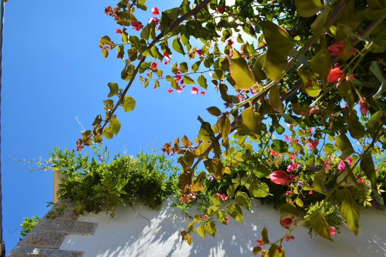 Casa Gandamar B&B 산타테레사의갈루라 외부 사진