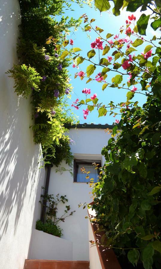 Casa Gandamar B&B 산타테레사의갈루라 외부 사진